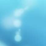 My top posts in February 2012